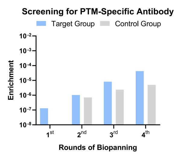 Fig.10 Graph illustrating the library screening outcomes. (Creative Biolabs Original)