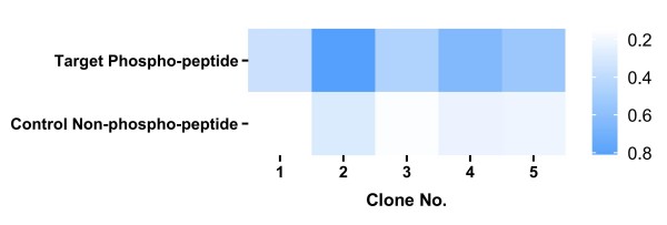 Fig.11 Graph displaying the specificity validation results. (Creative Biolabs Original)