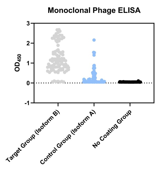 Fig.11 Graph displaying the phage ELISA validation results. (Creative Biolabs Original)