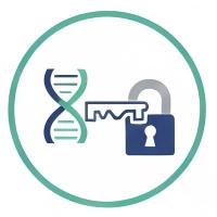 Fig.22 Mechanism-Defined Discovery. (Creative Biolabs AI)