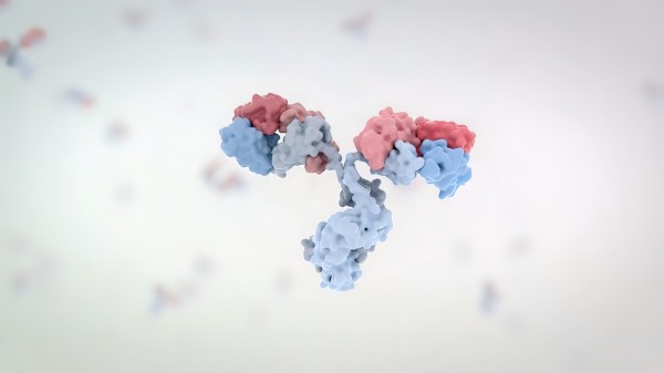 Fig.3 Premade Antibody Library based Anti-PTM Antibody Discovery. (Creative Biolabs Authorized)