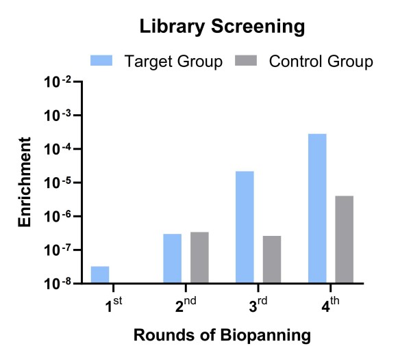 Fig.6 Graph illustrating the library screening outcomes. (Creative Biolabs Original)