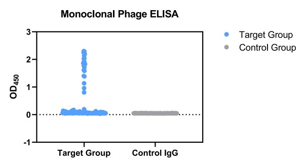 Fig.7 Graph displaying the phage ELISA validation results. (Creative Biolabs Original)