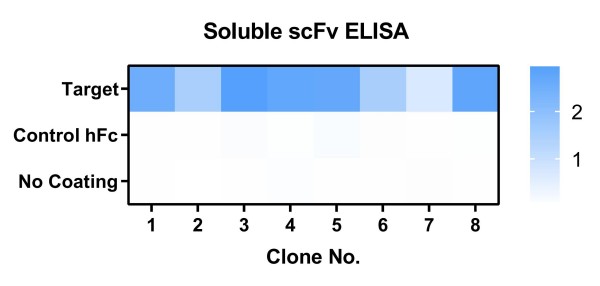Fig.8 Graph displaying the binding validation results. (Creative Biolabs Original)