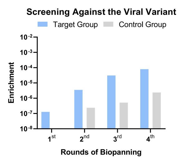 Fig.7 Graph illustrating the library screening outcomes. (Creative Biolabs Original)