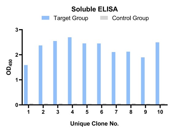 Fig.8 Graph displaying the binding validation results. (Creative Biolabs Original)