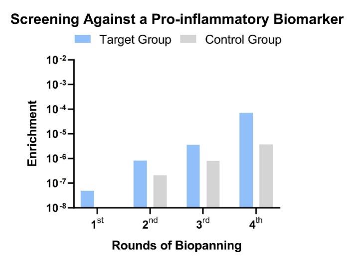 Fig.7 Graph illustrating the library screening outcomes. (Creative Biolabs Original)