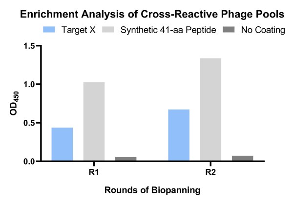 Fig.11 Graph illustrating the library screening outcomes. (Creative Biolabs Original)