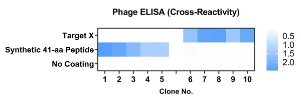 Fig.9 Graph displaying the phage ELISA validation results. (Creative Biolabs Original)