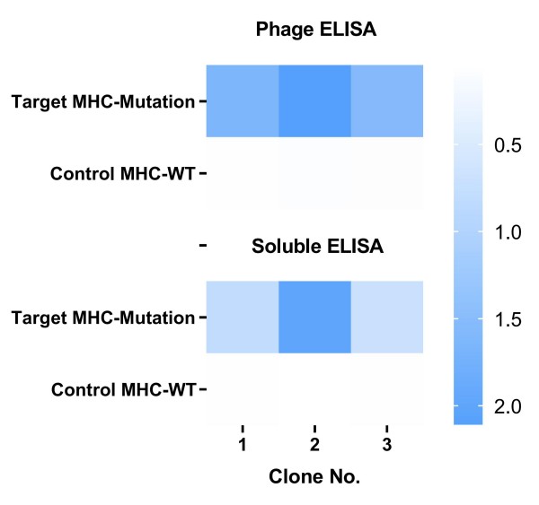 Fig.8 Graph displaying the clone validation results. (Creative Biolabs Original)