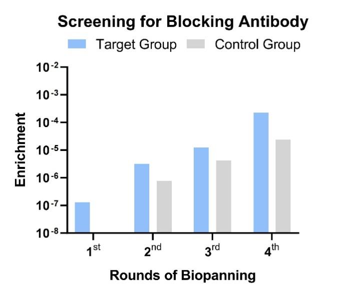 Fig.7 Graph illustrating the library screening outcomes. (Creative Biolabs Original)