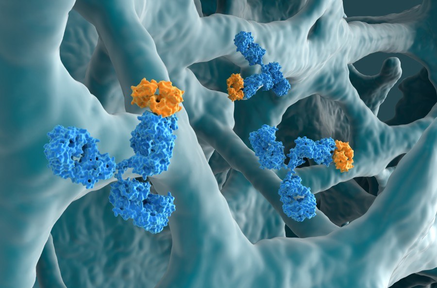 Fig 1. Functional human antibody discovery via premade library. (Creative Biolabs Original)