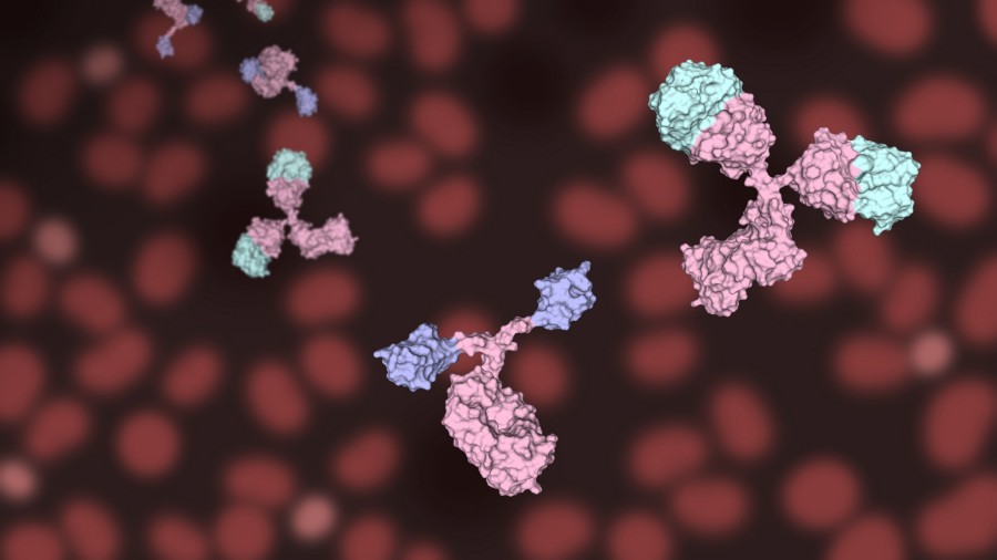 Fig 4. Bi-functional antibody discovery via premade library. (Creative Biolabs Original)
