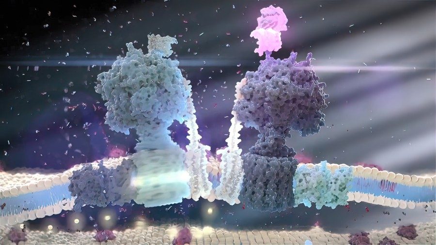 Fig 6. Cell-internalizing antibody discovery via premade library. (Creative Biolabs Original)