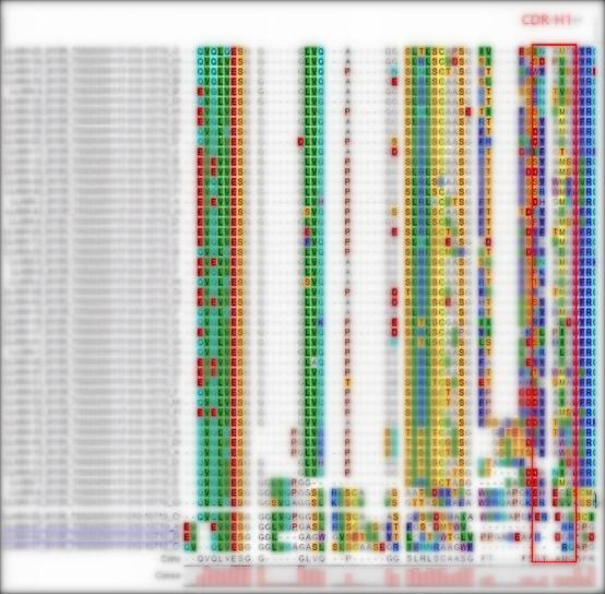 Fig 3. Graph displaying the sequencing results-1 of the LlaVHHL-1 library. (Creative Biolabs Original).