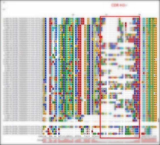 Fig 5. Graph displaying the sequencing results-3 of the LlaVHHL-1 library. (Creative Biolabs Original).