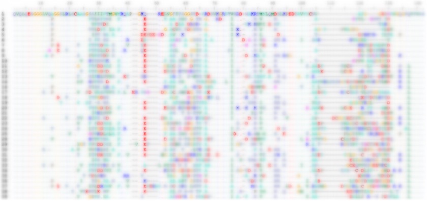 Fig 2. Graph illustrating the QC colony PCR results of the AlVHHL-1 library. (Creative Biolabs Original).