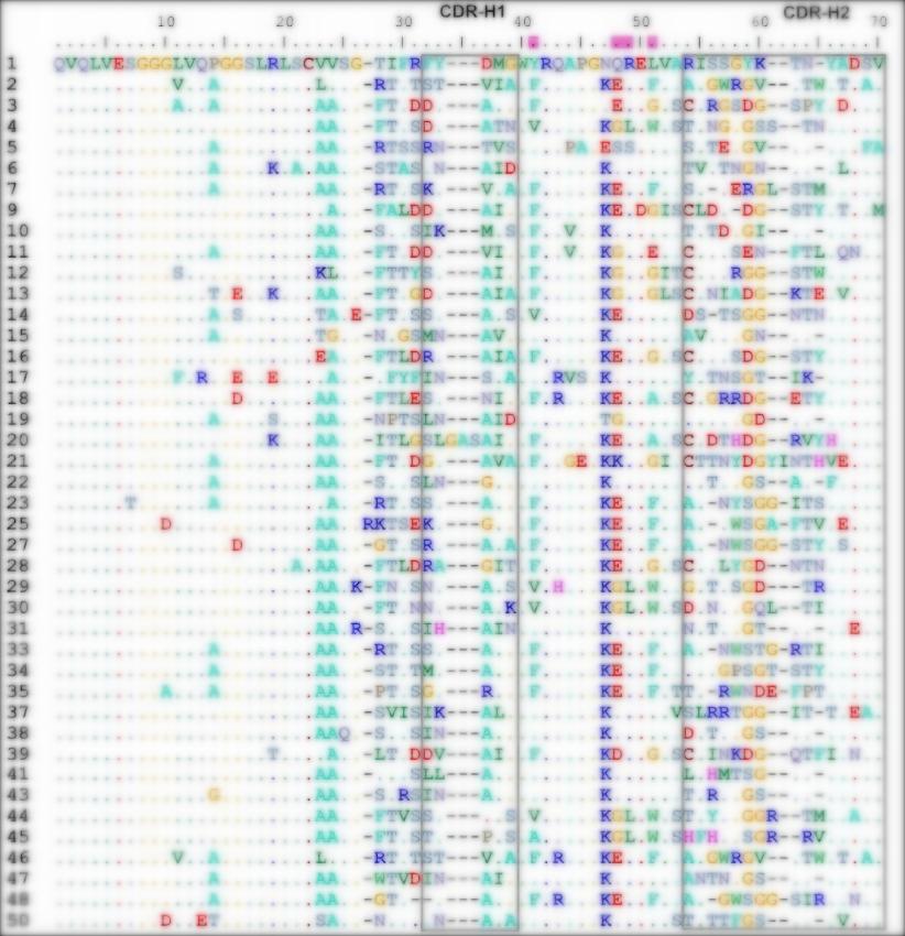 Fig 2. Graph displaying the sequencing results-1 of the LlaVHH-YPD-1 library. (Creative Biolabs Original).