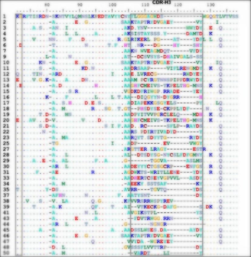 Fig 3. Graph displaying the sequencing results-2 of the LlaVHH-YPD-1 library. (Creative Biolabs Original).