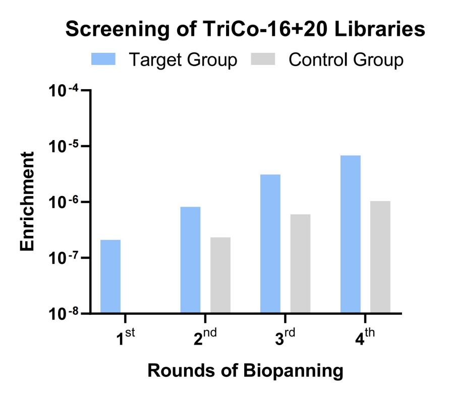 Fig 1. Graph illustrating the TriCo-16+20 library screening outcomes. (Creative Biolabs Original).