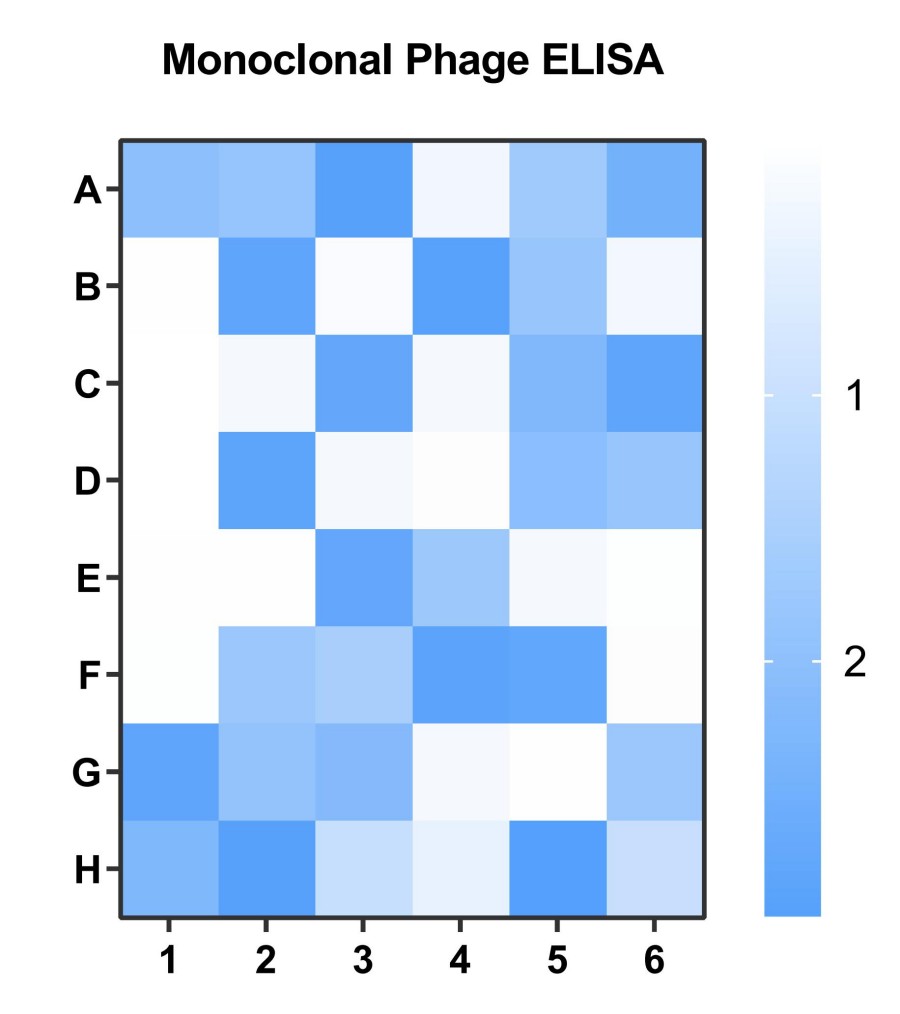 Fig 2. Graph displaying the validation results. (Creative Biolabs Original).