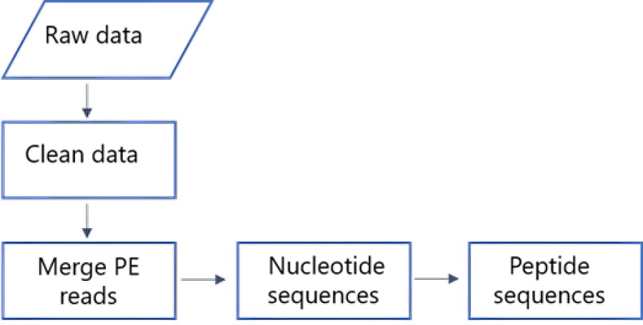Fig 3. Graph displaying the NGS steps. (Creative Biolabs Original).