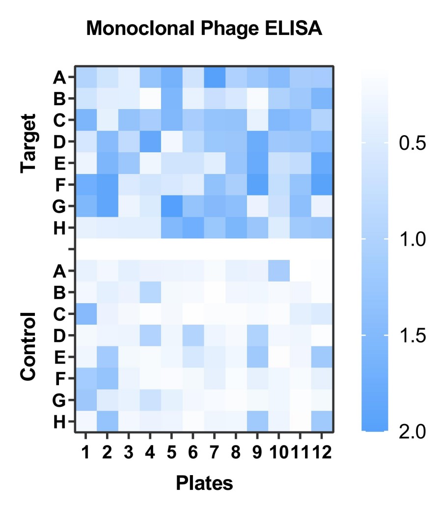 Fig 2. Graph displaying the validation results. (Creative Biolabs Original).