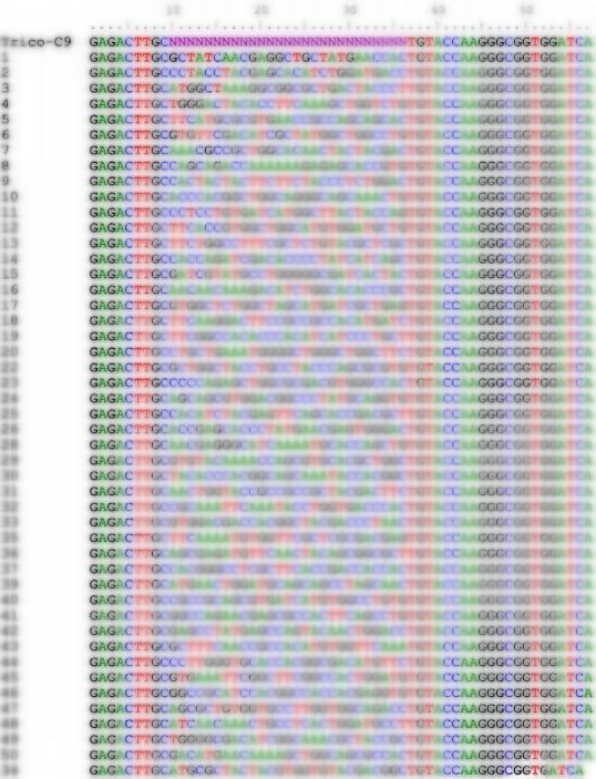 Fig 3. Graph displaying the sequencing results-1 of the TriCo-C9 library. (Creative Biolabs Original).