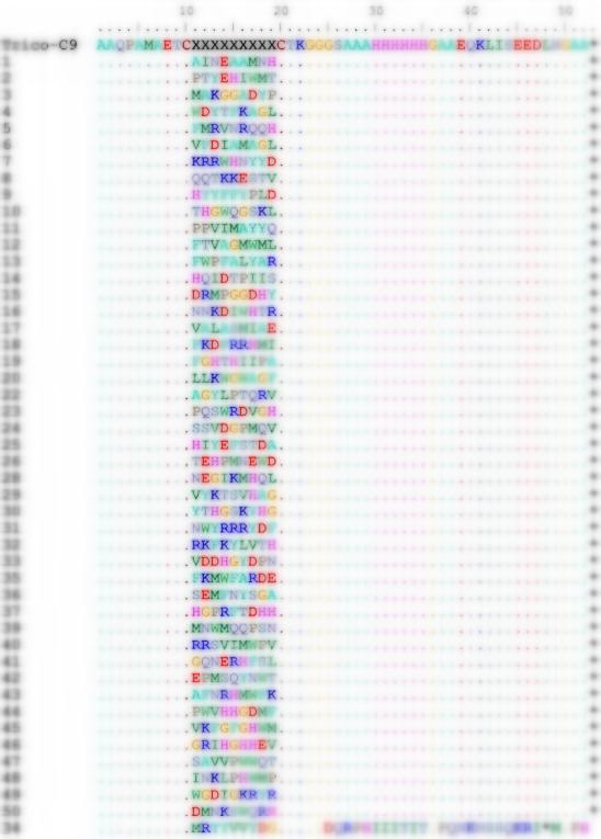 Fig 4. Graph displaying the sequencing results-2 of the TriCo-C9 library. (Creative Biolabs Original).