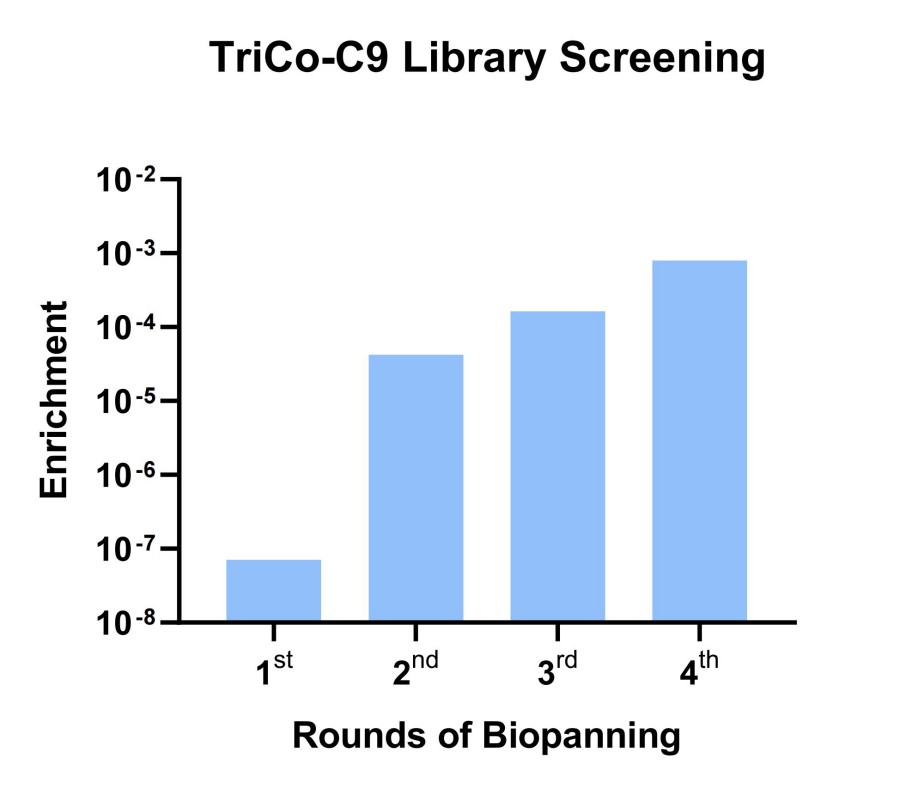 Fig 6. Graph illustrating the screening outcomes for TriCo-C9 library. (Creative Biolabs Original).