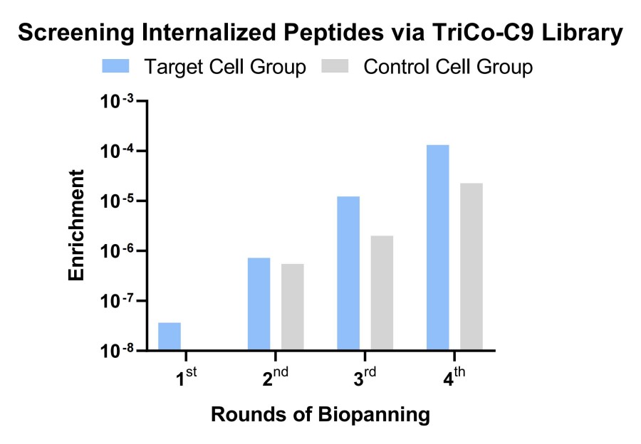 Fig 1. Graph illustrating the screening outcomes for internalizing peptides. (Creative Biolabs Original).