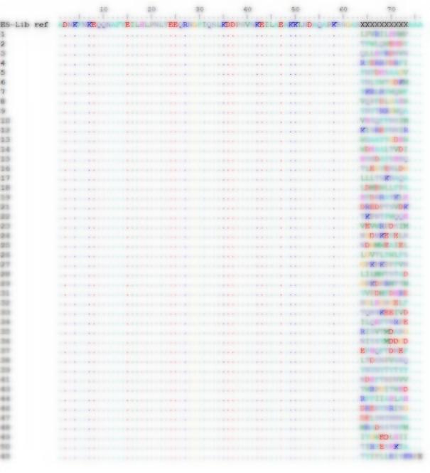 Fig 2. Graph displaying the sequencing results of the Protease-10A library. (Creative Biolabs Original).