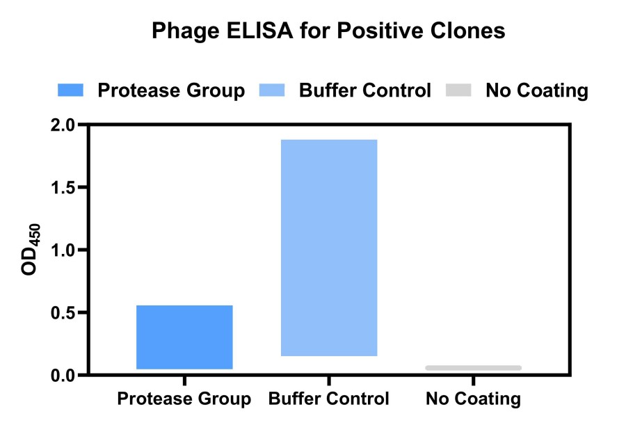 Fig 6. Graph displaying the positive clones validation results. (Creative Biolabs Original).