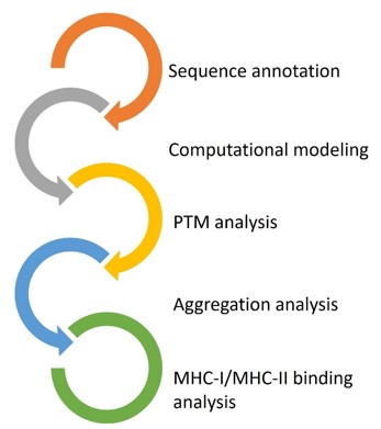 Fig.1 The workflow of peptide immunogen design. (Creative Biolabs Original)