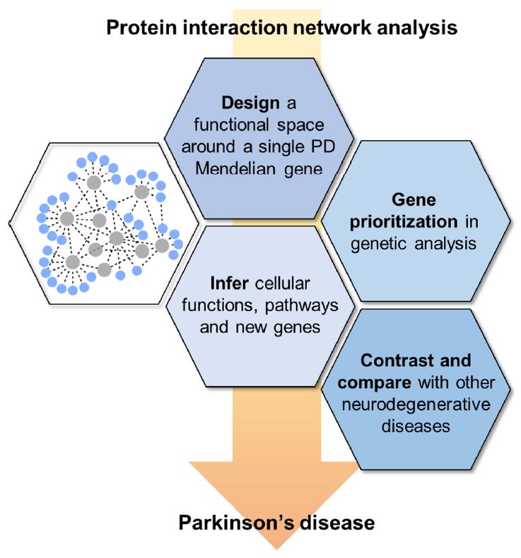 Fig.3 Different PPI network approaches, defined based on the target goals of the study in which they are employed. 