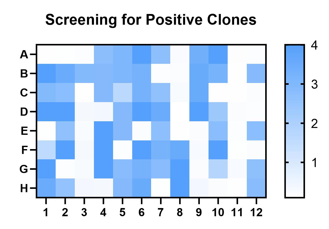 Fig 5. Graph showing mouse antibody hybridoma screening results. (Creative Biolabs Original)