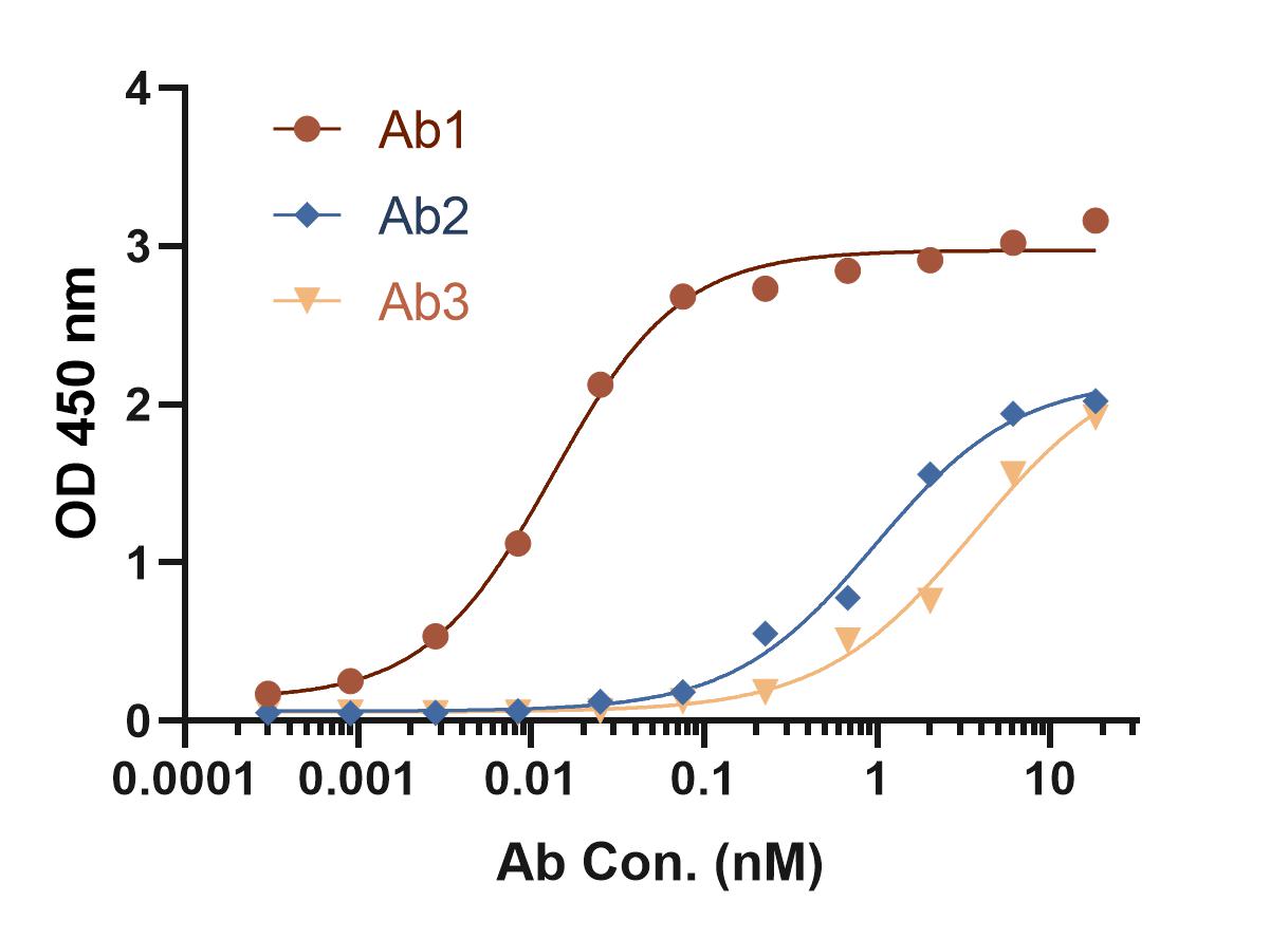 Fig 6. Graph showing mouse antibody binding test results. (Creative Biolabs Original)