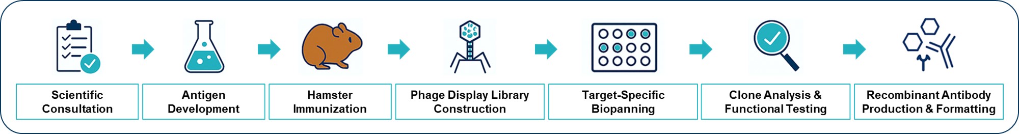 Fig.1 Integrated workflow for antibody discovery. (Creative Biolabs AI)