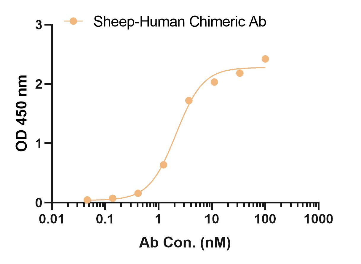 Fig 3. Graph for sheep chimeric antibody binding activity. (Creative Biolabs Original)