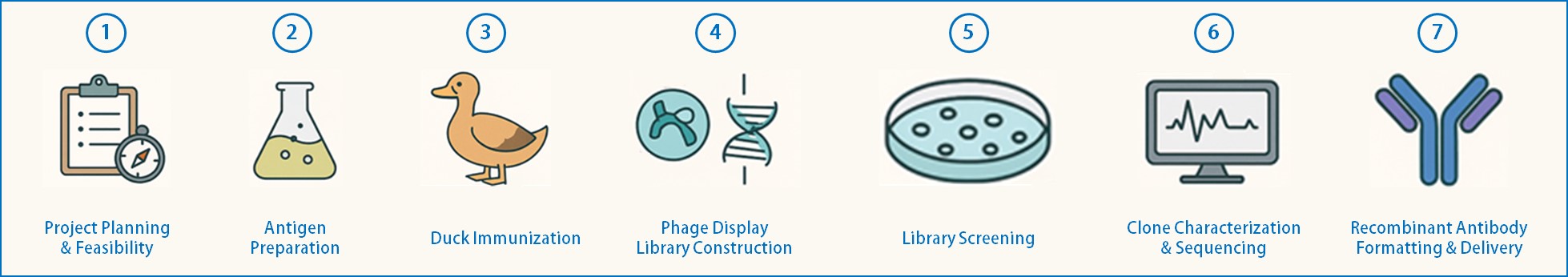 Fig.1 Sequential Workflow for Duck MAb Generation. (Creative Biolabs AI)