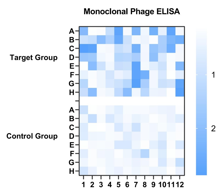 Fig 4. Case for mouse antibody validation. (Creative Biolabs Original).