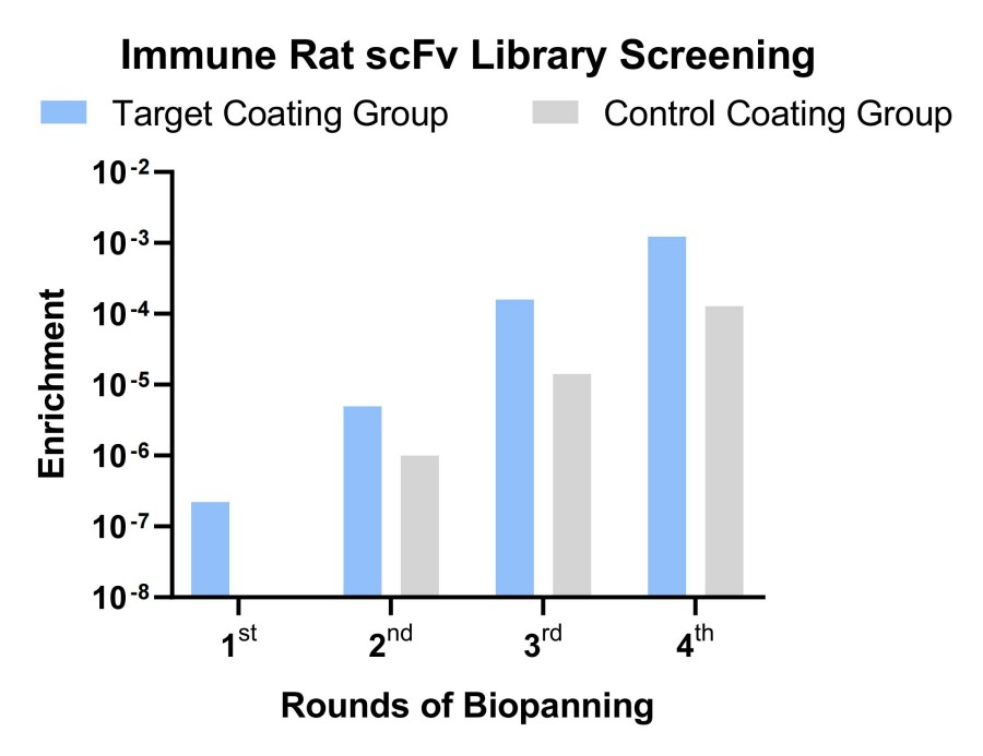 Fig 3. Case for rat antibody screening. (Creative Biolabs Original).