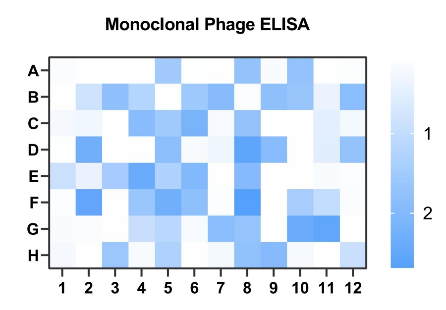 Fig 4. Case for phage based validation. (Creative Biolabs Original)