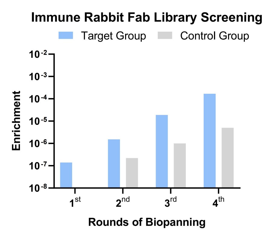 Fig 3. Case for rabbit antibody screening. (Creative Biolabs Original).