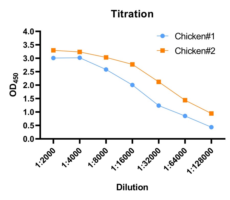 Fig 2. Case for chicken immunization. (Creative Biolabs Original).