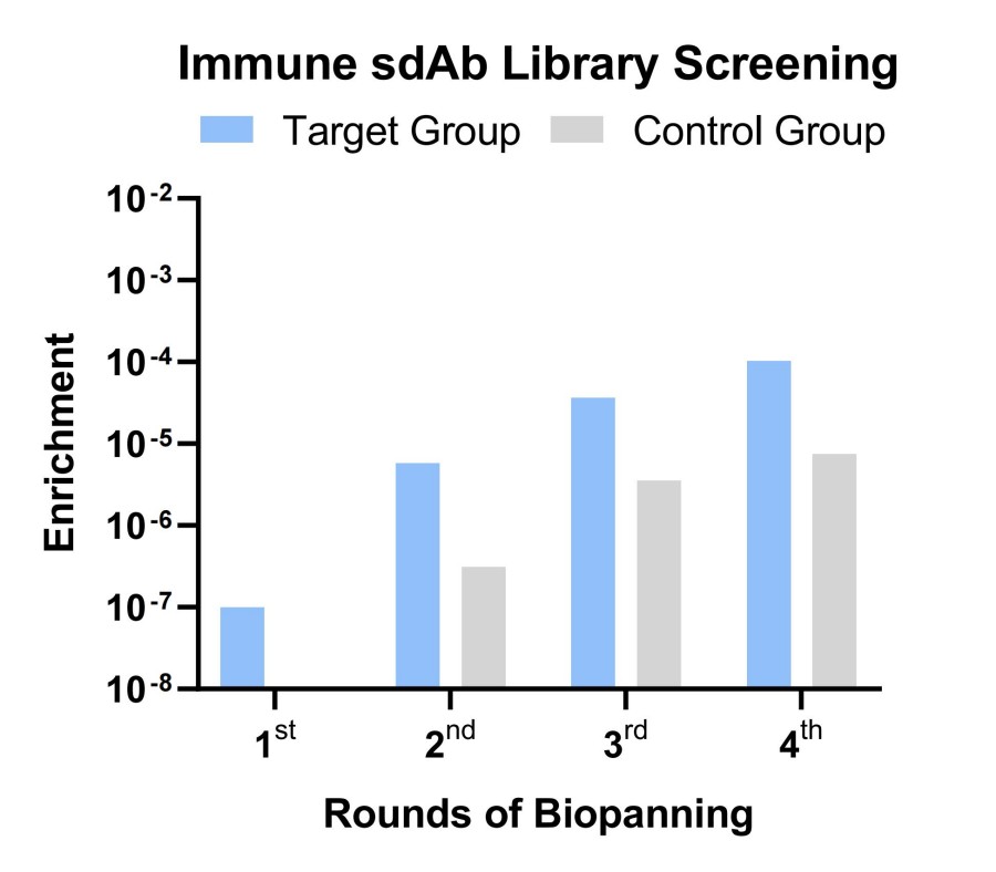 Fig 3. Case for llama sdAb screening. (Creative Biolabs Original).