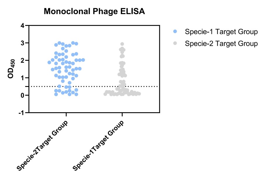 Fig 4. Case for phage based sdAb validation. (Creative Biolabs Original).