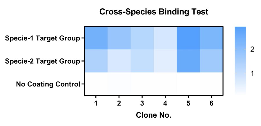 Fig 5. Case for recombinant sdAb validation. (Creative Biolabs Original).