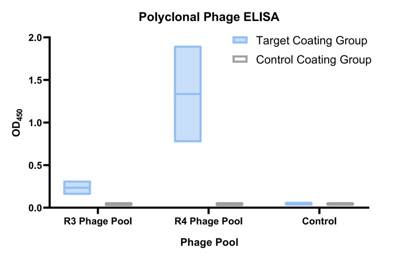 Fig 4. Polyclonal phage ELISA against target. (Creative Biolabs Original)
