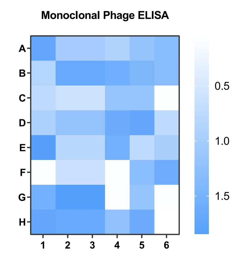 Fig 5. Monoclonal phage ELISA against target. (Creative Biolabs Original)